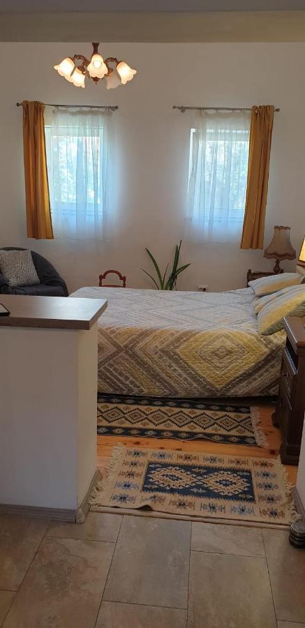 Cozy Home In The Heart Of Κλουζ-Ναπόκα Εξωτερικό φωτογραφία