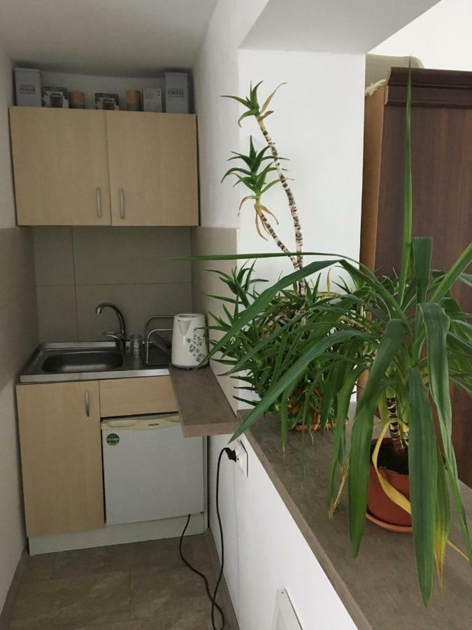 Cozy Home In The Heart Of Κλουζ-Ναπόκα Εξωτερικό φωτογραφία